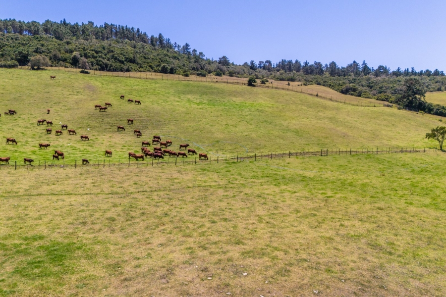  Bedroom Property for Sale in Plettenberg Bay Rural Western Cape